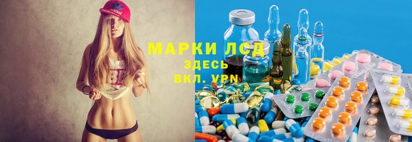 гидра Алзамай