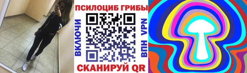 Галлюциногенные грибы Psilocybe Андреаполь