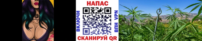 Марихуана индика  где купить наркоту  Андреаполь 